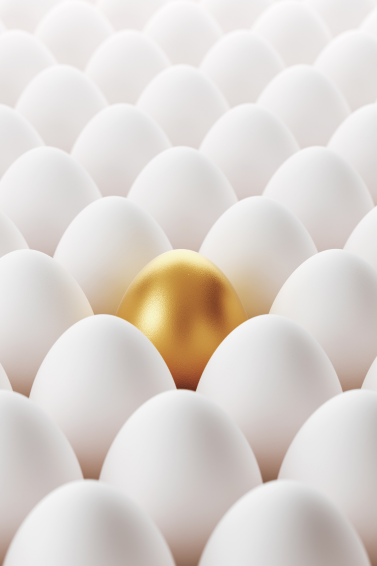 FINRA Rule 4370